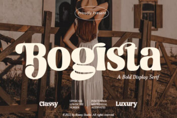 Bold Elegant Serif Font
