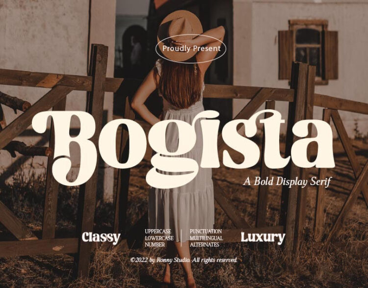 Bold Elegant Serif Font