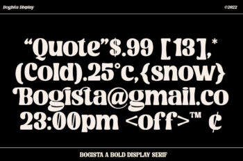 Bold Elegant Serif Font