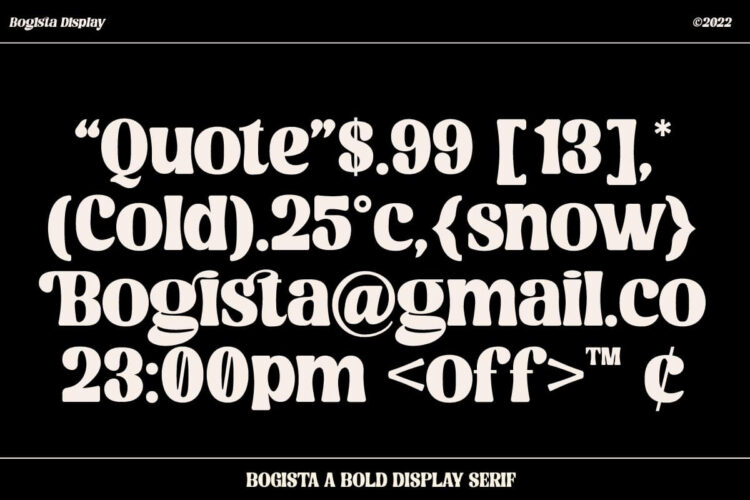 Bold Elegant Serif Font