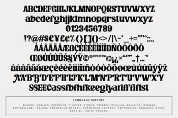 Bold Elegant Serif Font