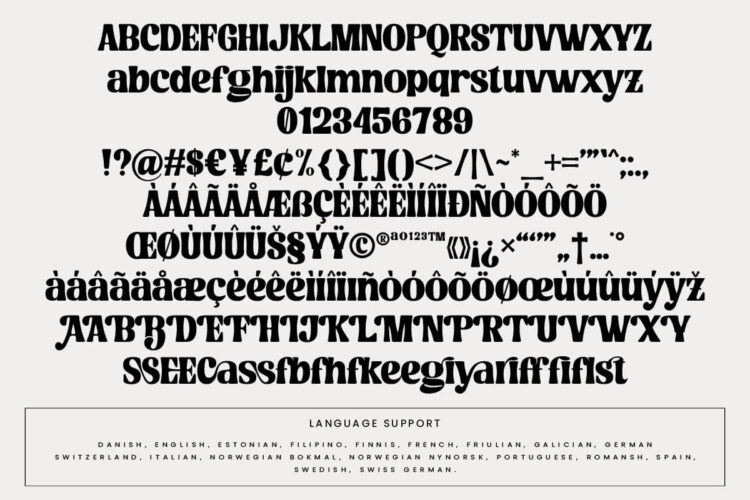 Bold Elegant Serif Font