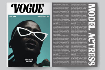 Bold Elegant Serif Font