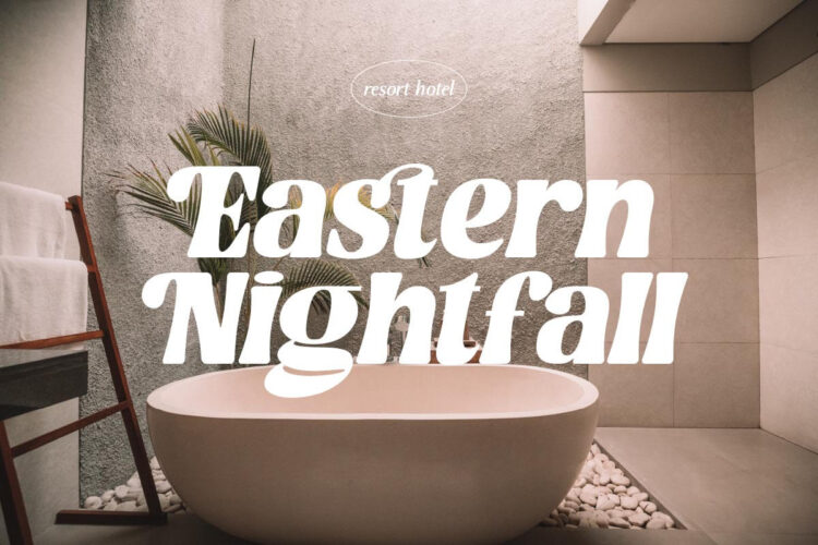 Bold Elegant Serif Font