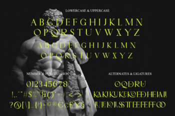 Display Serif Font