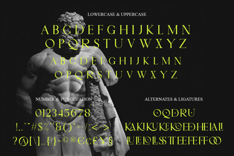 Display Serif Font