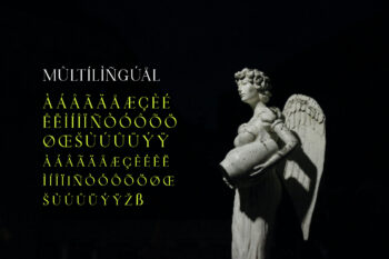Display Serif Font