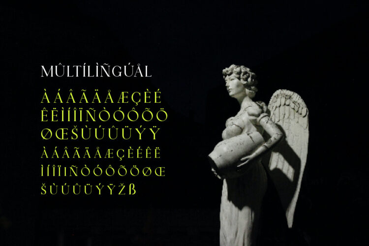 Display Serif Font