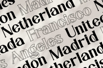 elegant serif font