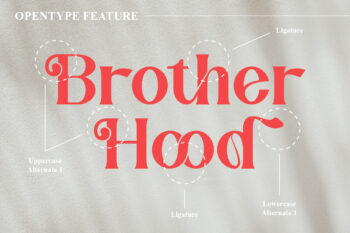 elegant serif font