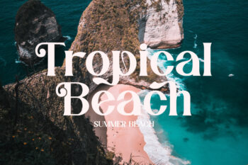 elegant serif font