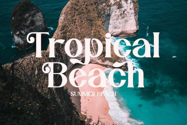 elegant serif font