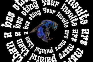 Liquid Display Font