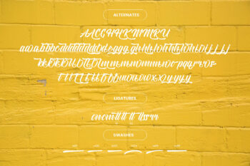 Modern Script Font