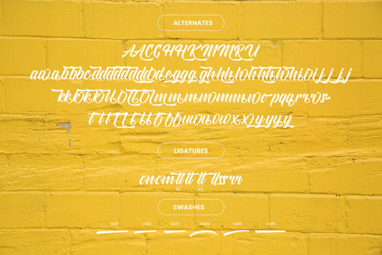 Modern Script Font