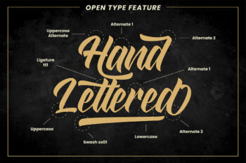 Modern Script Font