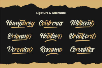 Modern Script Font