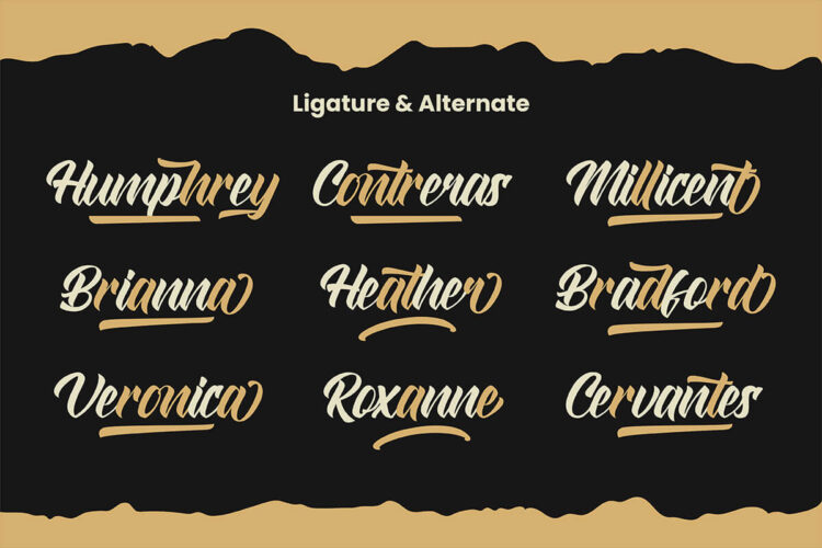 Modern Script Font