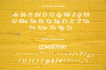 Modern Script Font
