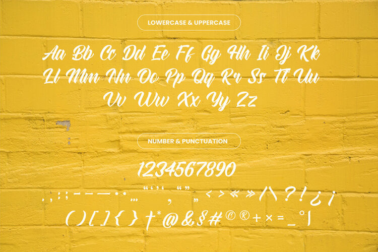 Modern Script Font