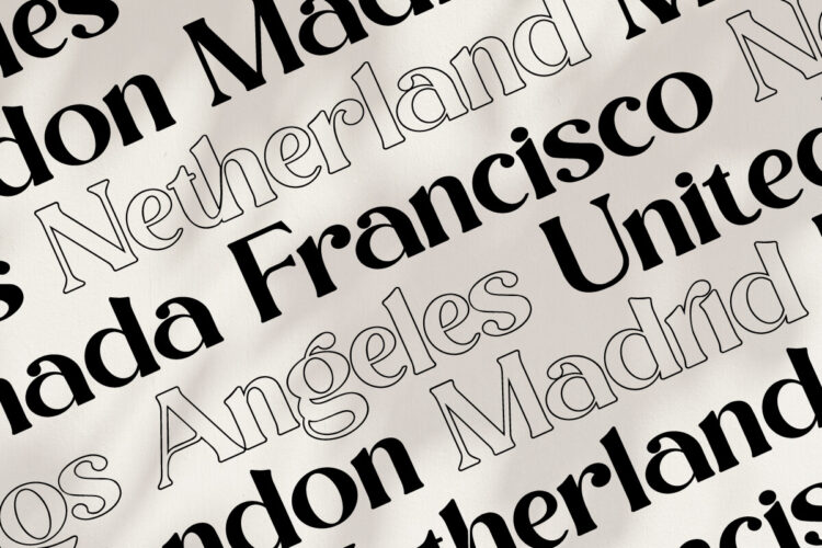 Modern Stylish Serif Font