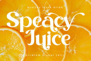 Modern Stylish Serif Font