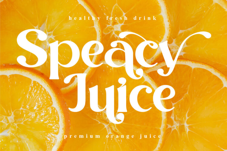 Modern Stylish Serif Font