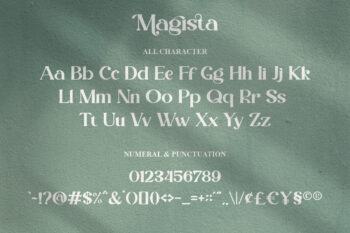 Modern Stylish Serif Font