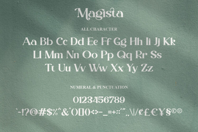 Modern Stylish Serif Font