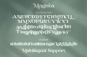 Modern Stylish Serif Font