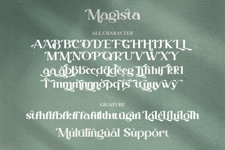 Modern Stylish Serif Font
