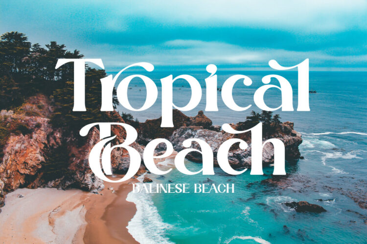 Modern Stylish Serif Font