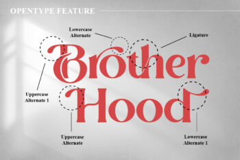 Modern Stylish Serif Font