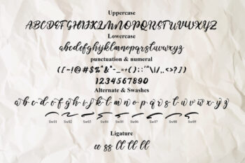 Freebies Font