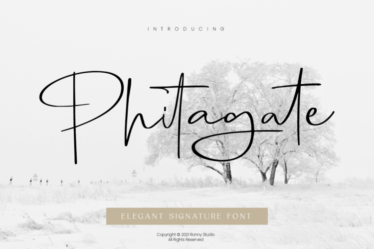 Phitagate Elegant Signature Font – Modern handwritten script typeface for logos, branding, invitations, packaging, and social media