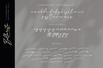 Bellarosta – Elegant Signature Font cover by Ronny Studio