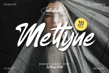 Meltyne Modern Script Font – font preview mockup