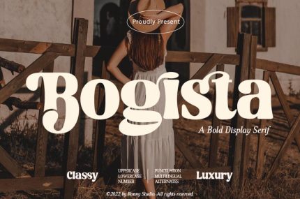Bold Elegant Serif Font